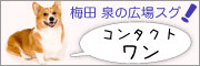 コンタクトワン